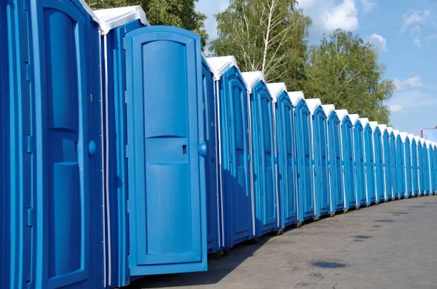 Best Sanitation services for porta potties  in Stoughton, WI